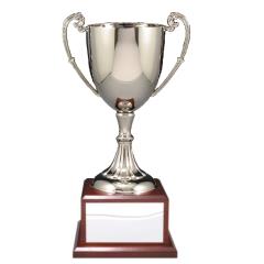 Metal Cups