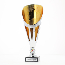 Dianna Cup Silver/Gold 290mm