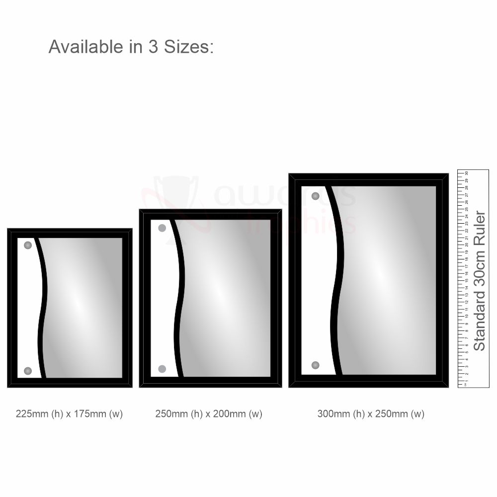 Accolade Series - Excellence Plaque 250mm