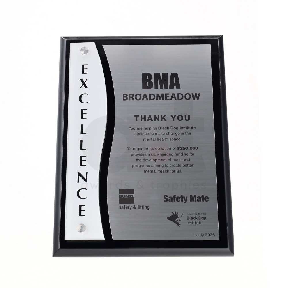 Accolade Series - Excellence Plaque 300mm