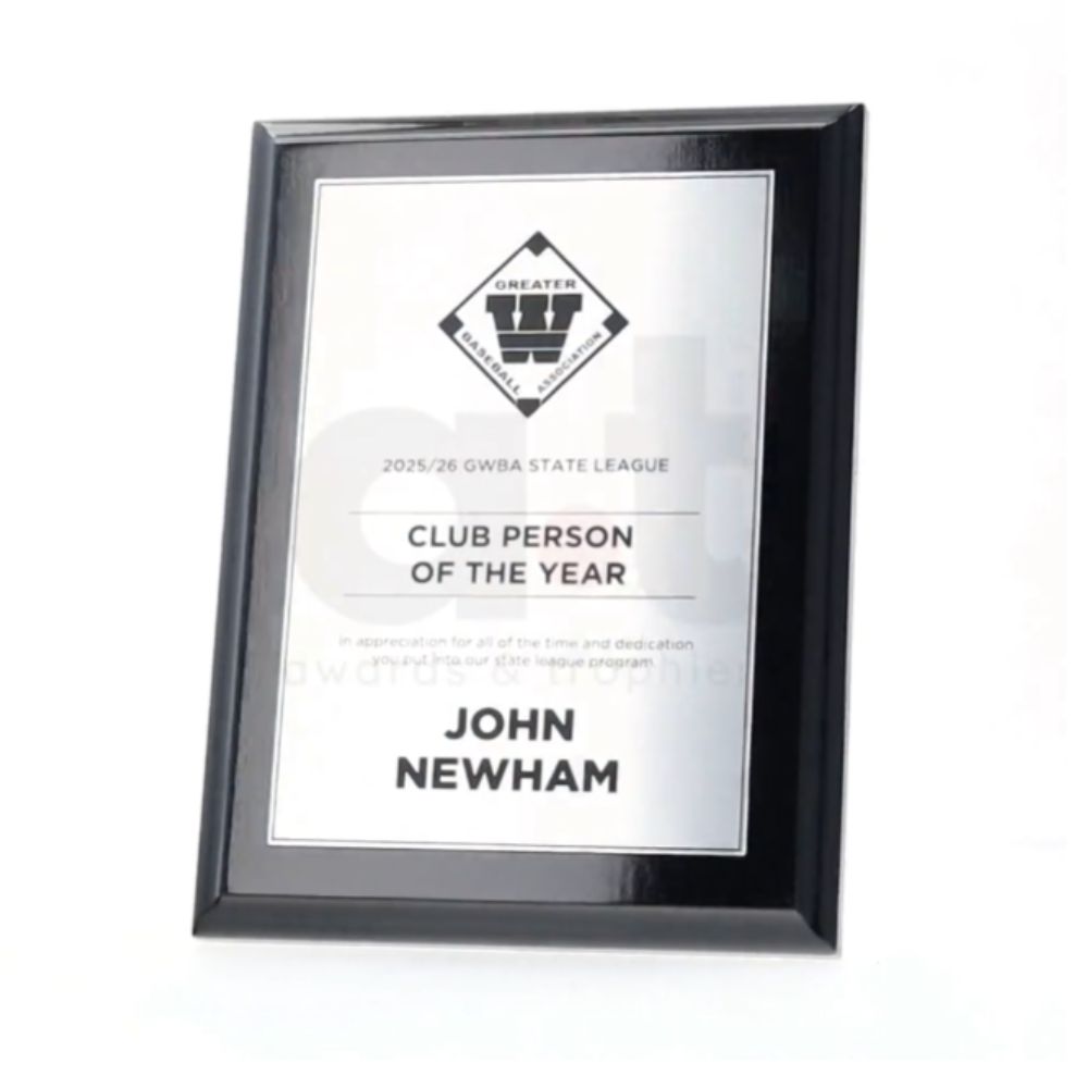 Budget Gloss Black Plaque - Silver 250mm