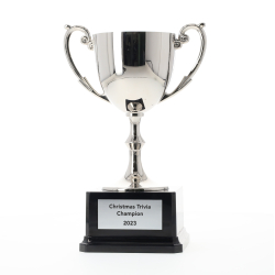 Recognition Cup 210mm - Silver