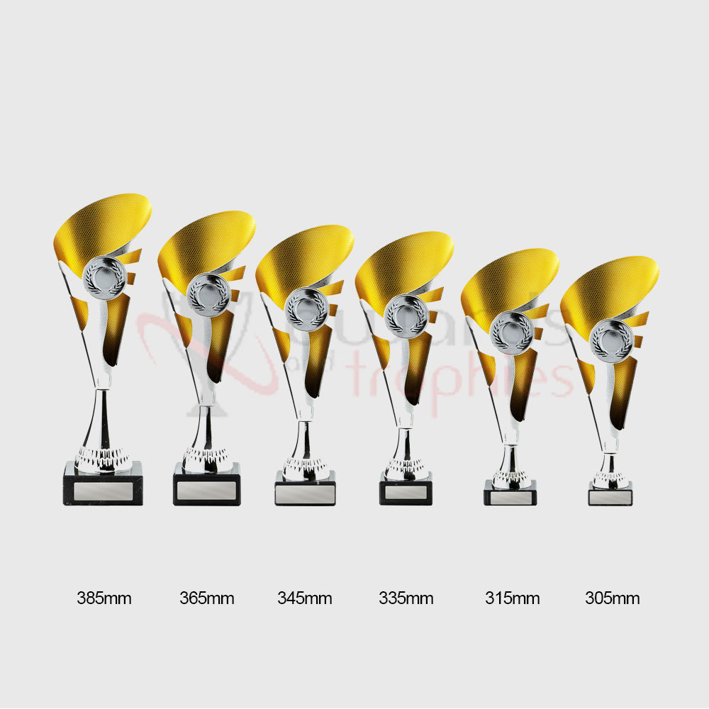 Ibiza Cup Silver/Gold 305mm