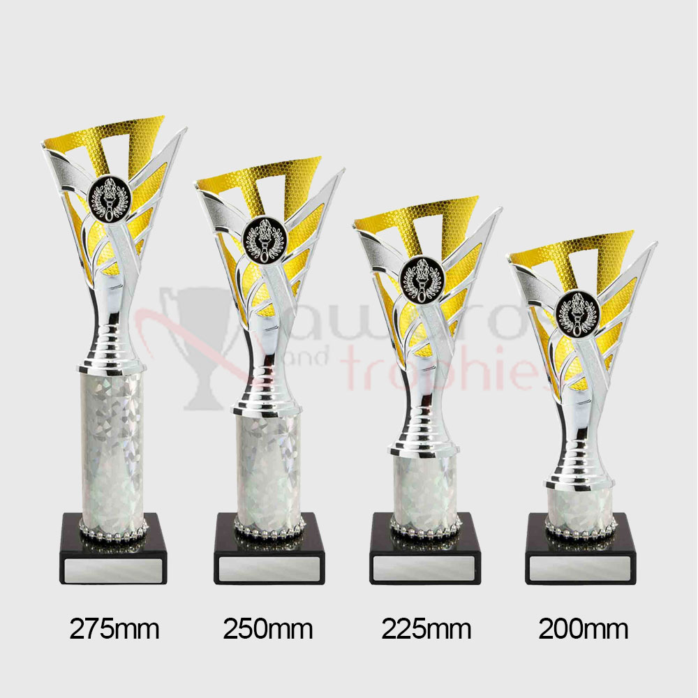 Palma Cup Silver/Gold 200mm