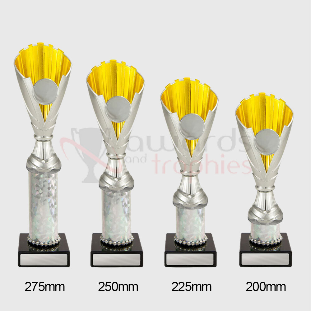 Norwich Cup Silver/Gold 200mm