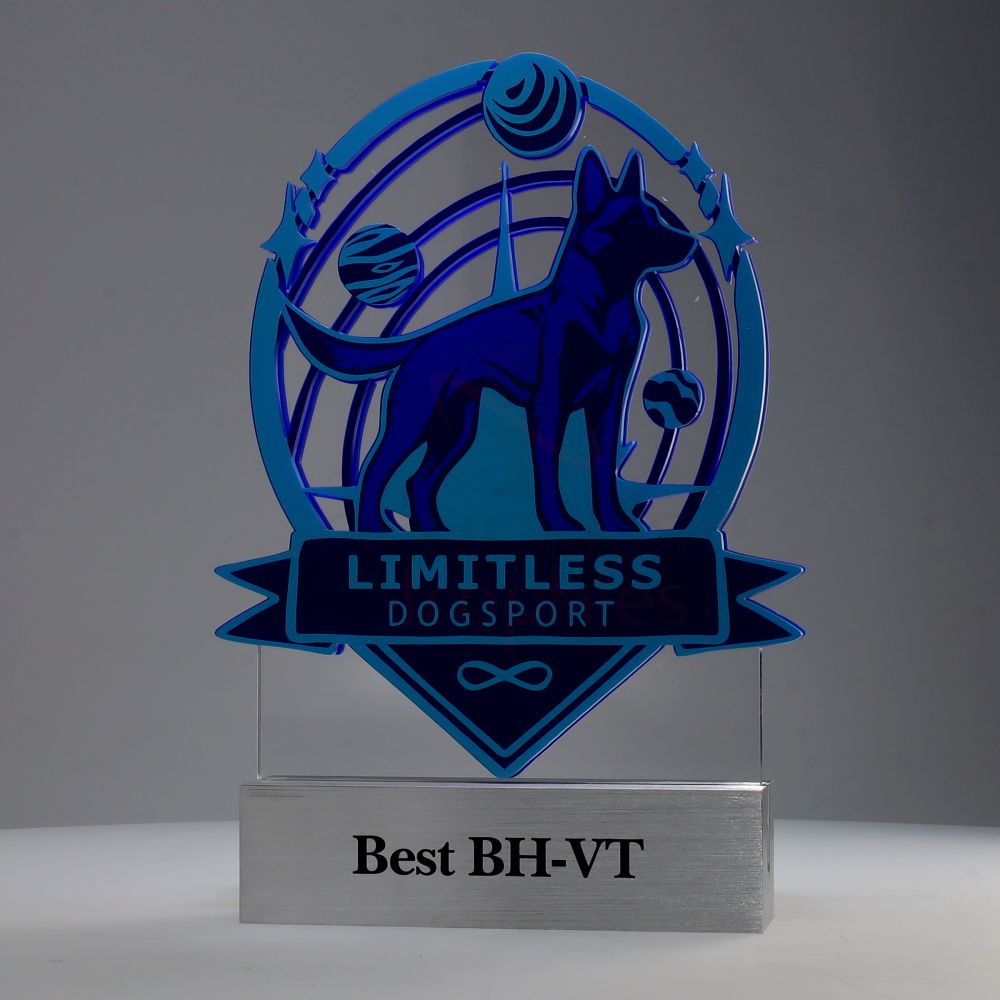 Valour Custom Award (Large)