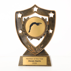 Shield 155mm - Tumbling