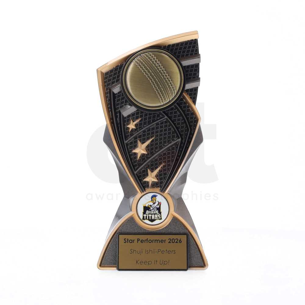 Shard Series 170mm - Cricket Ball