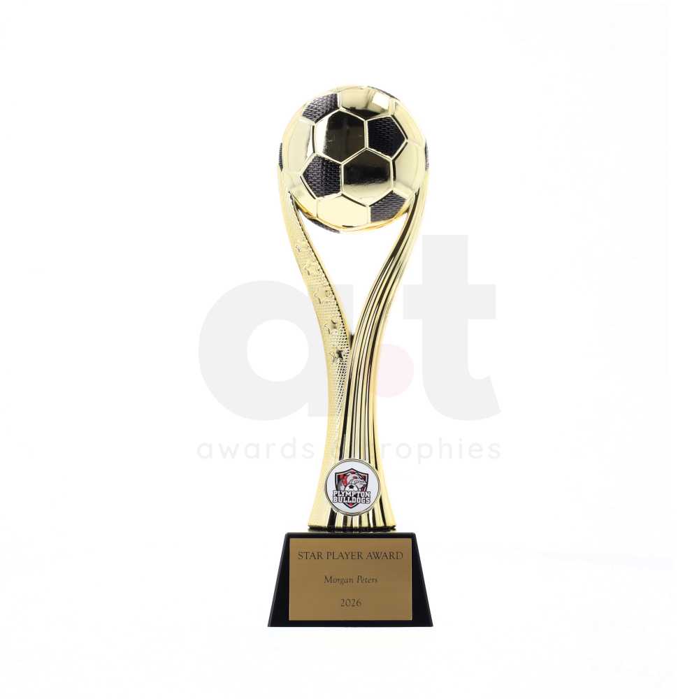 Tiempo Series Gold 260mm - Football