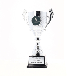 Ramble Cup 270mm - Silver