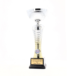 Clarion Cup 290mm - Silver/Gold
