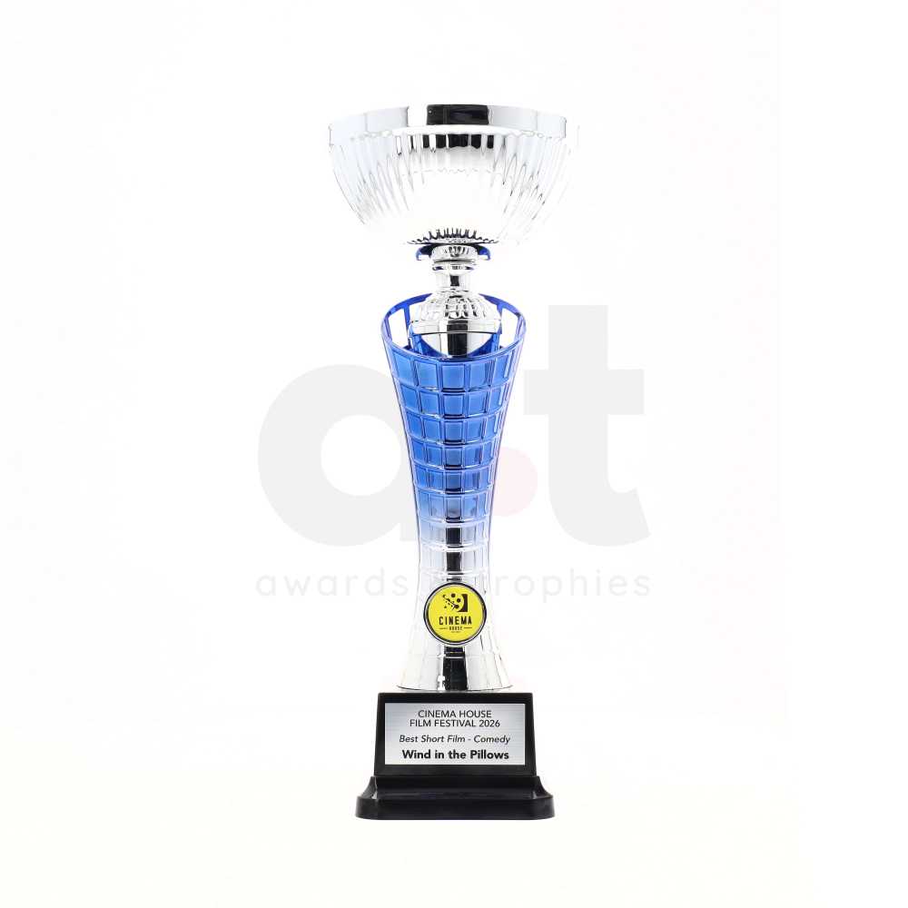 Clarion Cup 290mm - Silver/Blue