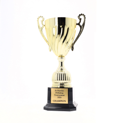 Cruiser Cup 300mm - Gold