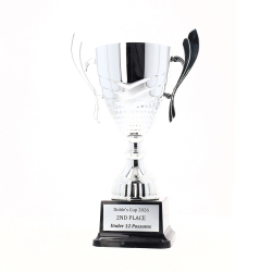 Avalon Cup 280mm - Silver