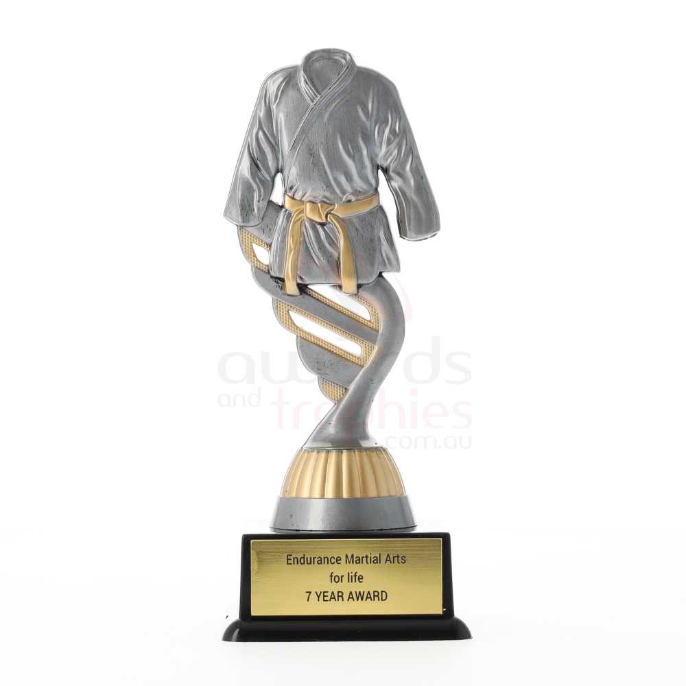 Silver Martial Arts Theme on Black Base 160mm