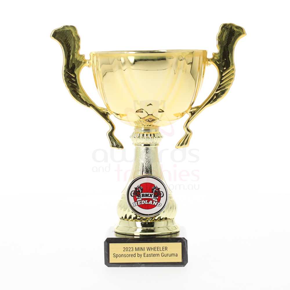 Tuscany Cup Gold 235mm 