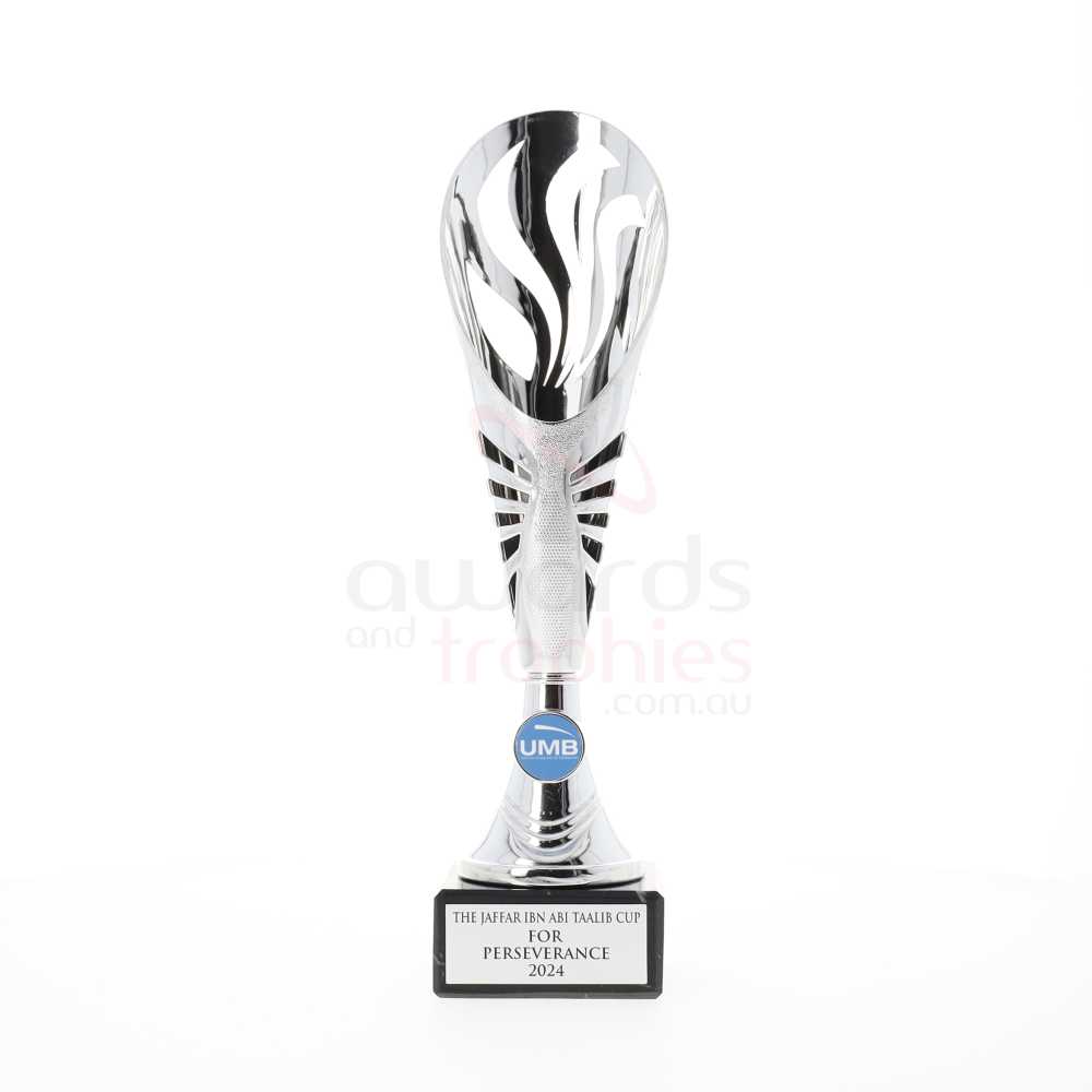 Equinox Cup Silver 350mm