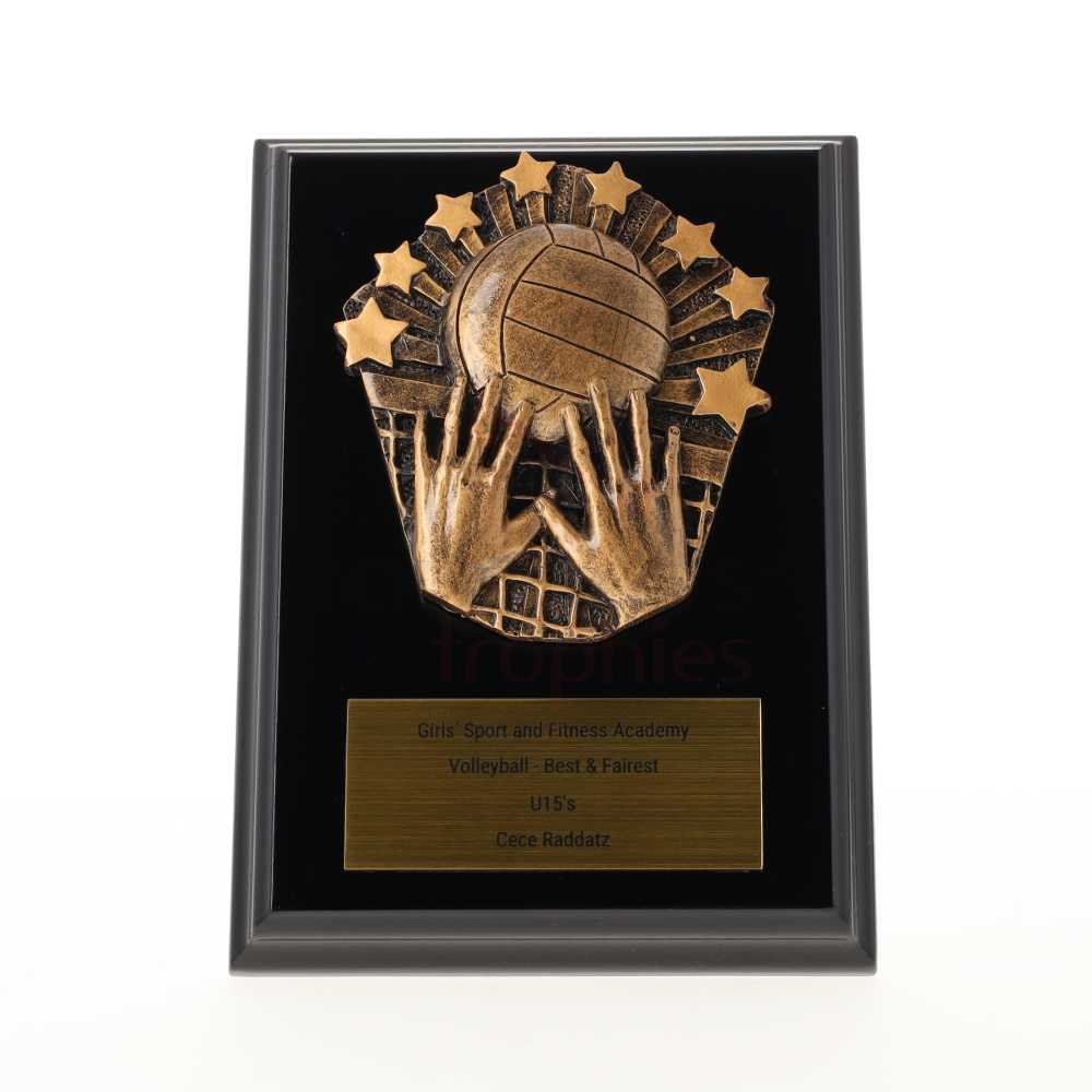 Cosmos Volleyball Black Plaque 150mm