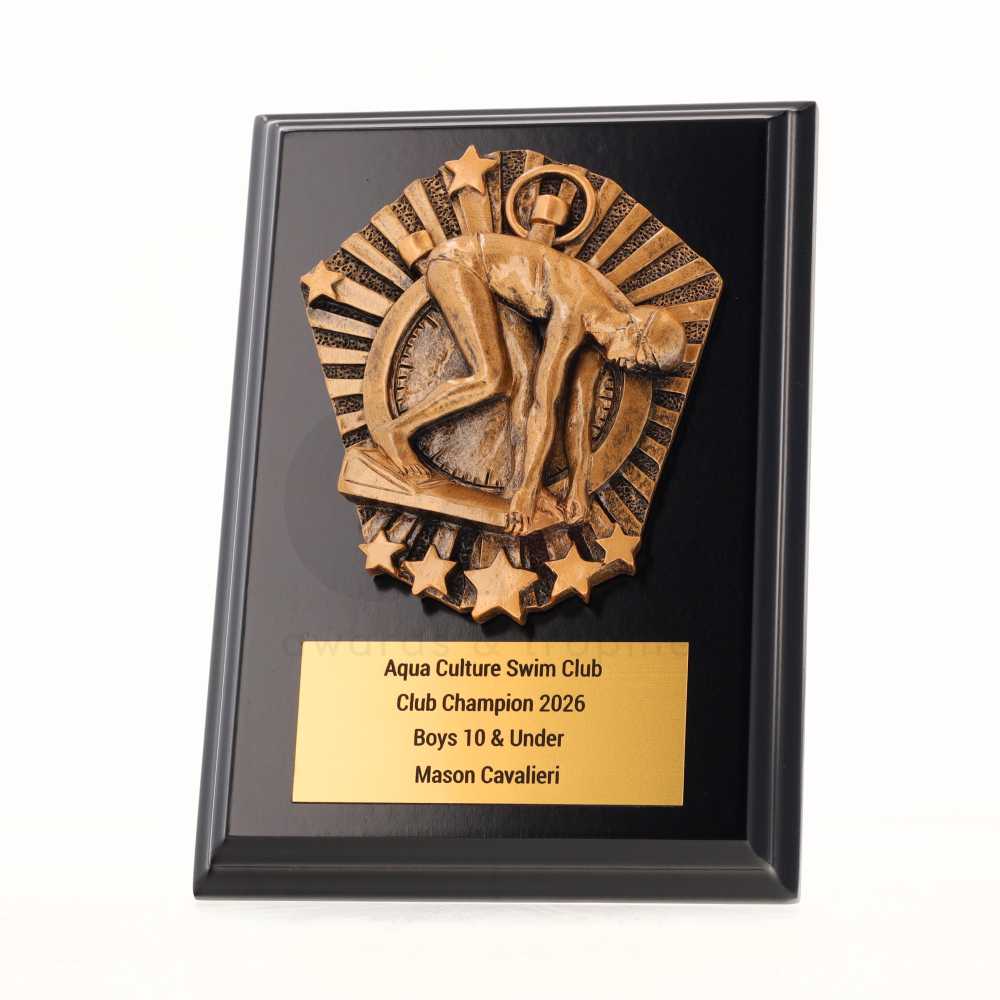 Cosmos Male Swimmer Black Plaque 150mm