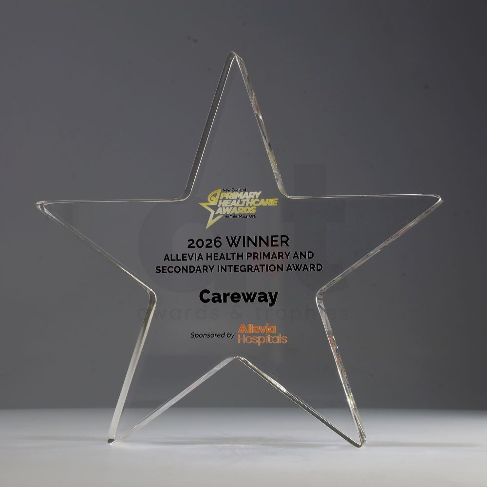 Acrylic Star 210mm