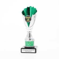 Norwich Cup Silver/Green 200mm