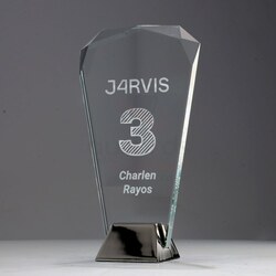 Silver Ice Crown 190mm